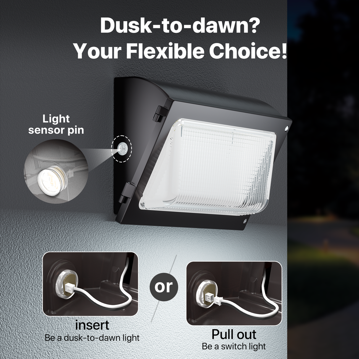 Oval Series Wall Pack Light: Dusk-to-Dawn or Switch Option