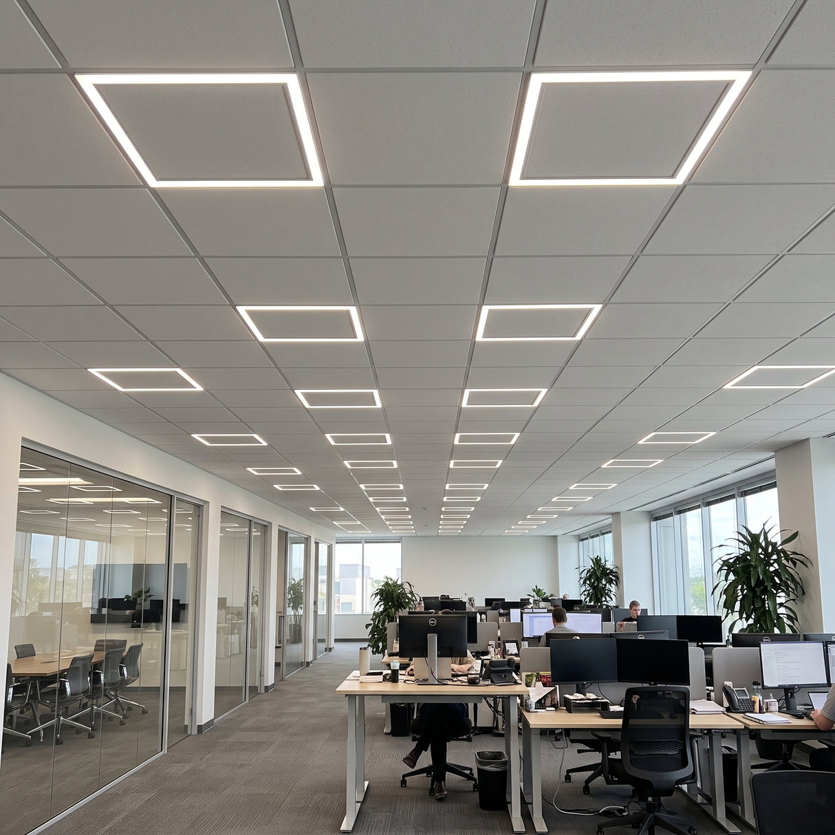 Surround Frame LED Lights
