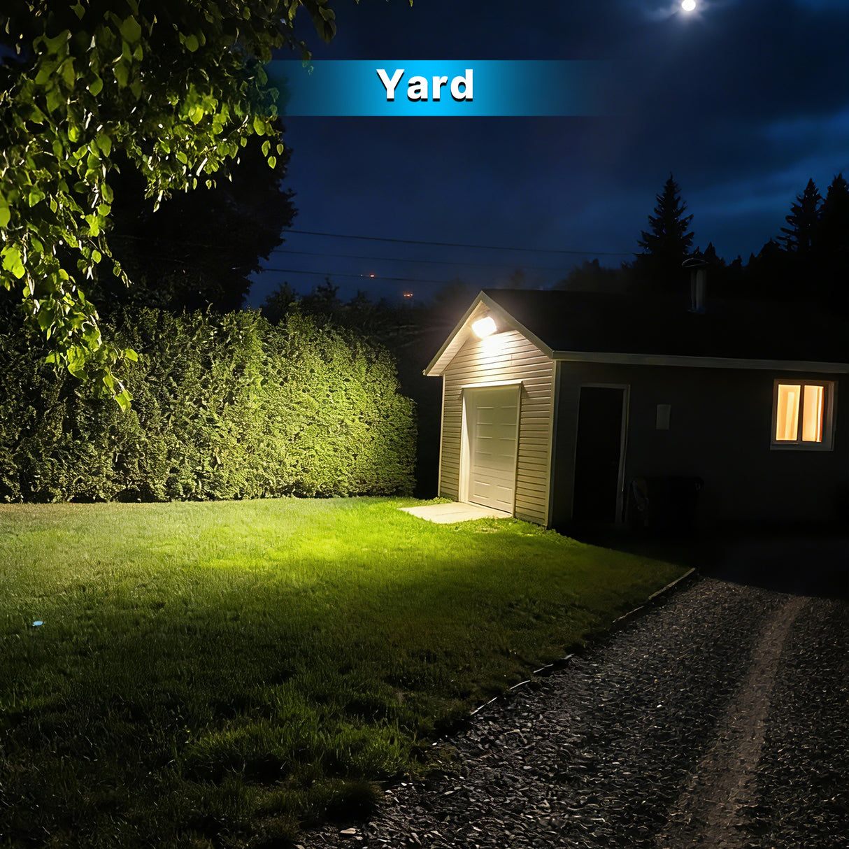 Yard at night with a shed and light fixture