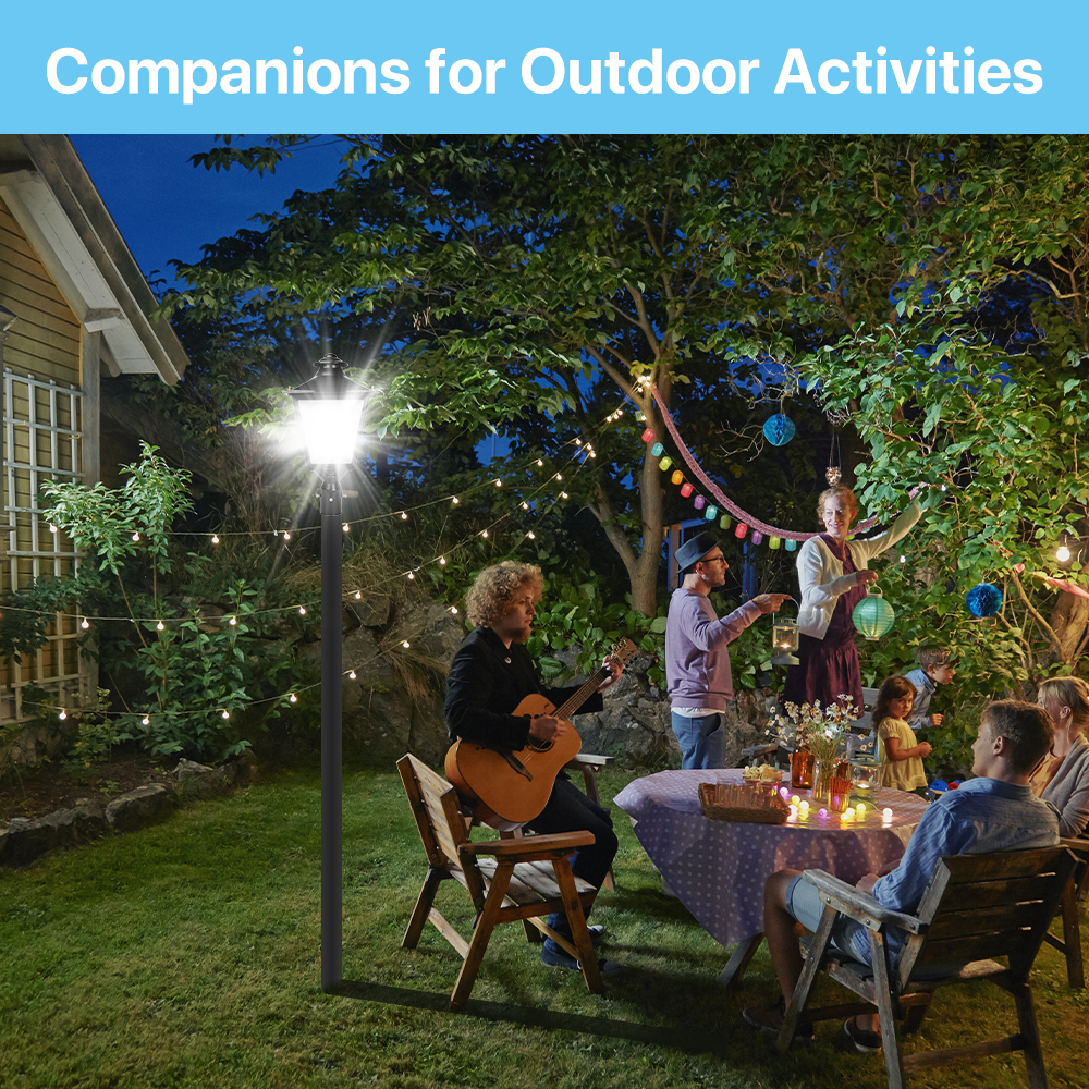 TP350 Series post top light illuminating outdoor gathering at night