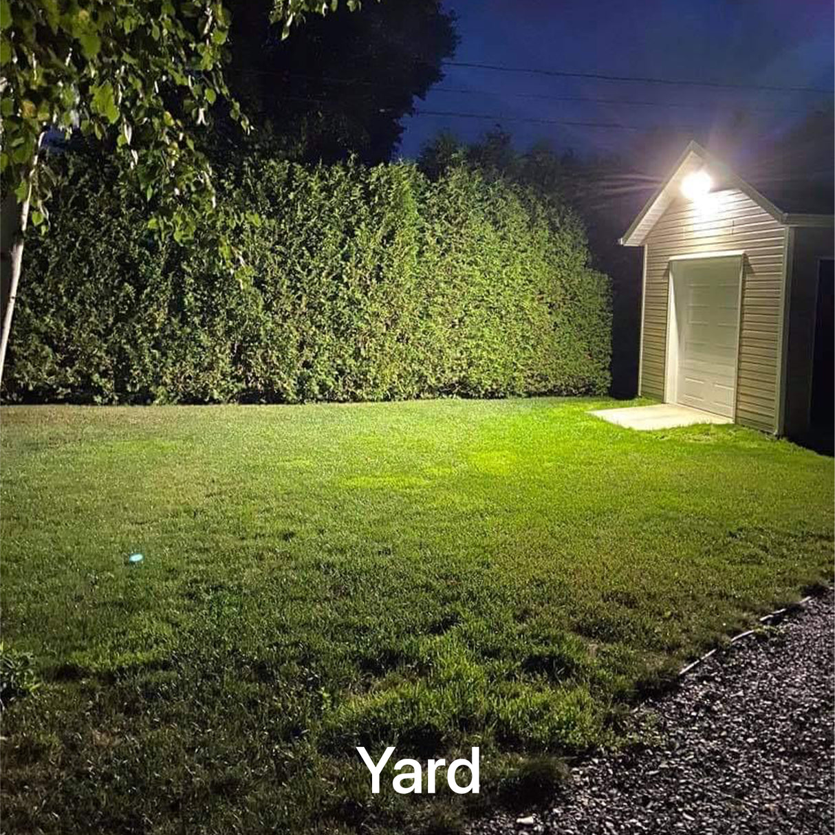 Yard illuminated by wall pack light at night