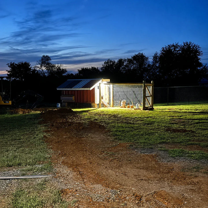 How to Reduce Motion Sensor False Alarms From Pets, Trees, Cars, and Wind