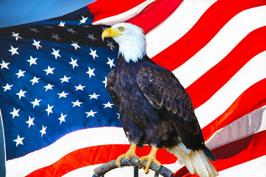 An eagle standing in front of the American flag