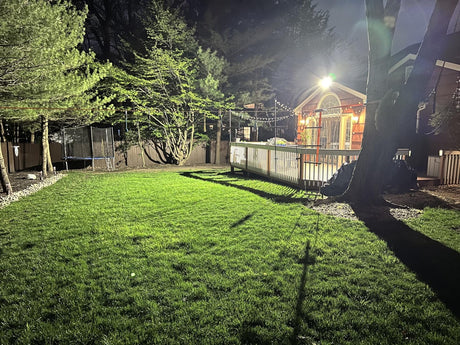 LED wall pack light brightly illuminates a cozy backyard shed at night, casting warm glow over the grass and trees.