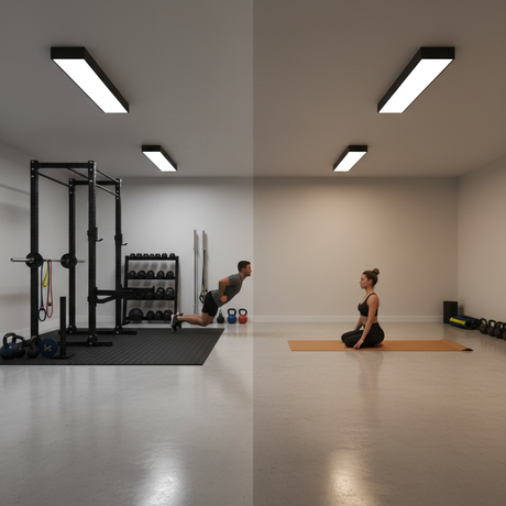 Automated Dimming: Setting LHB Scenes for Home Gyms