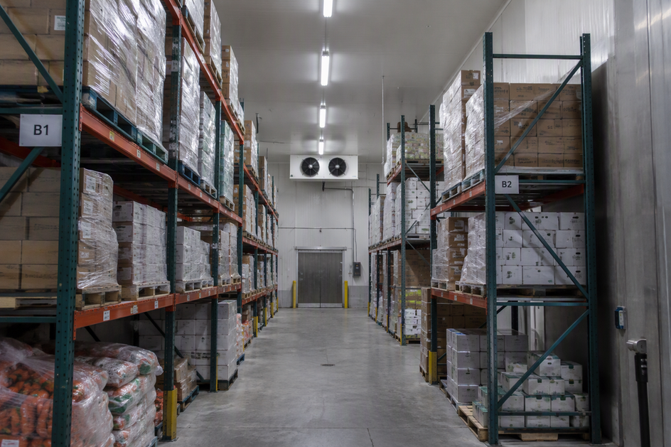 Wide view down a pallet-rack aisle inside a warehouse cold room, with linear lights mounted high overhead.