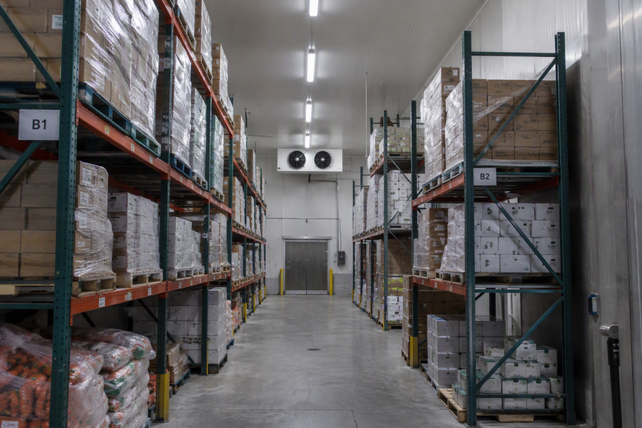 Wide view down a pallet-rack aisle inside a warehouse cold room, with linear lights mounted high overhead.