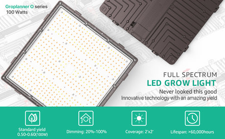 Which are the best LED grow lights?