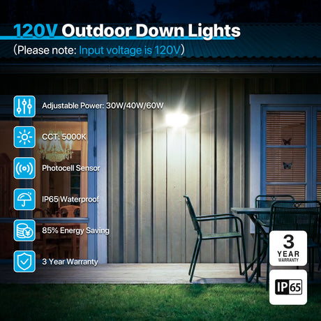 Outdoor Down Lights