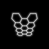  Hexagon Garage Lights - 11 Grid