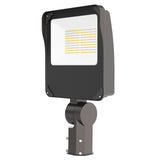 LED Flood Lights