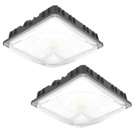 2pack led canopy lights DLC certificated