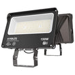 LED Flood Lights