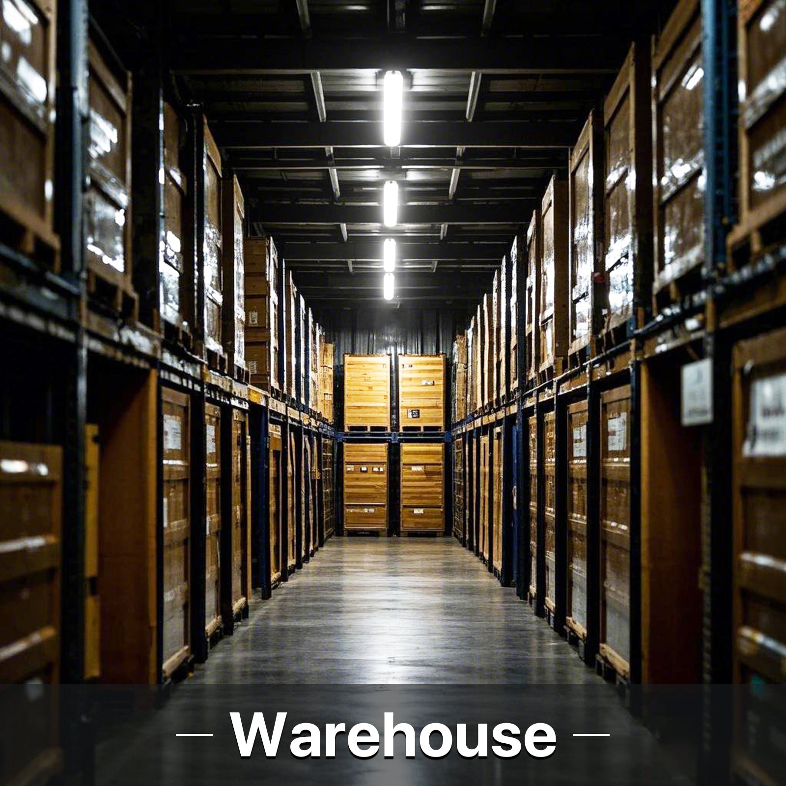 Warehouse interior with LED vapor tight lights
