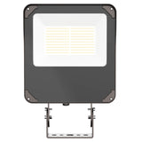 LED Flood Lights