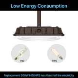 Low energy consumption canopy lights replacement 300W HID/HPS leass than hald the electricity