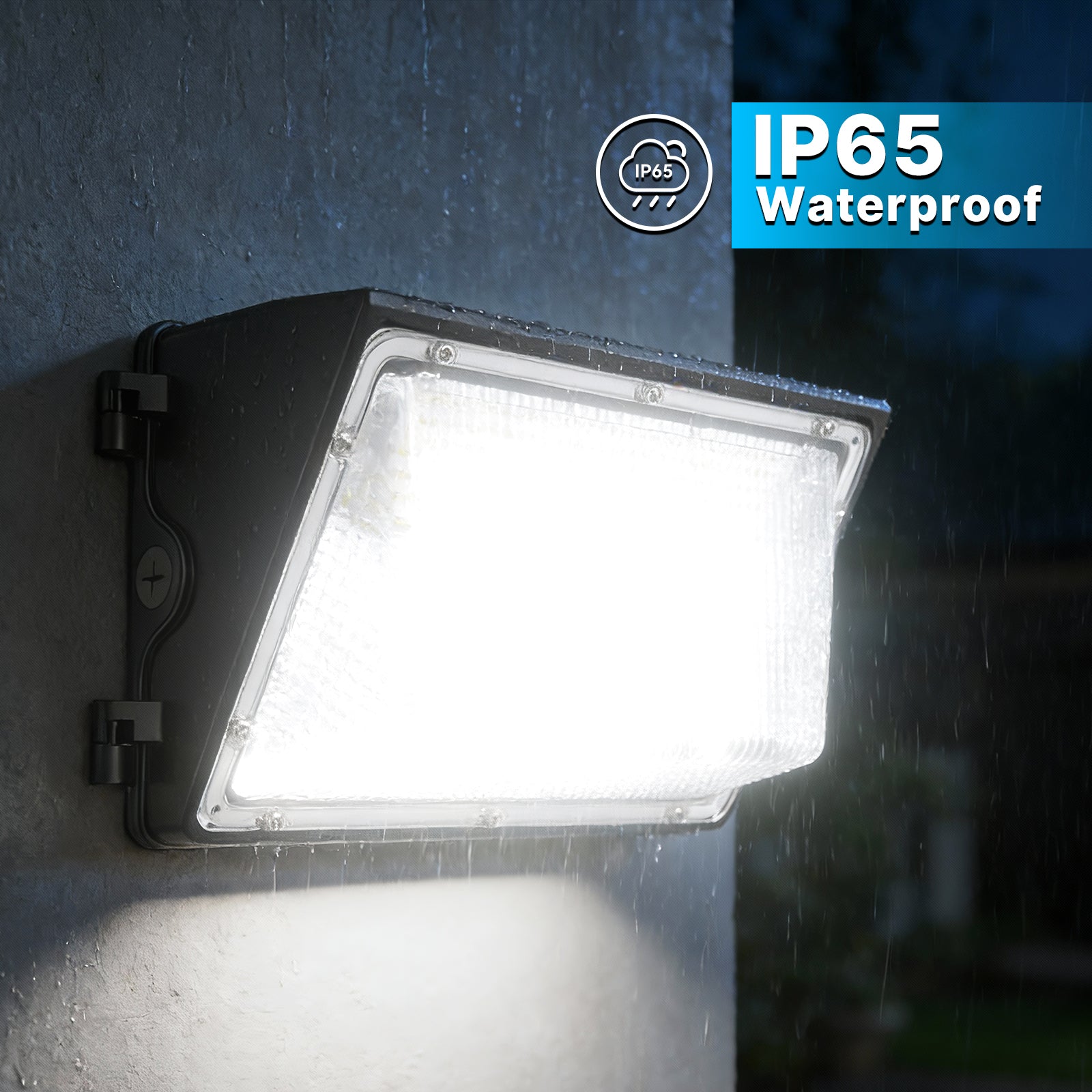 Wall Pack Lights