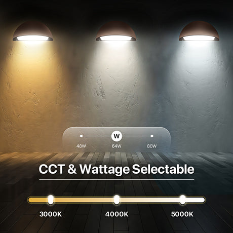 You can select the color temperaure and wattage of the wall pack light. 