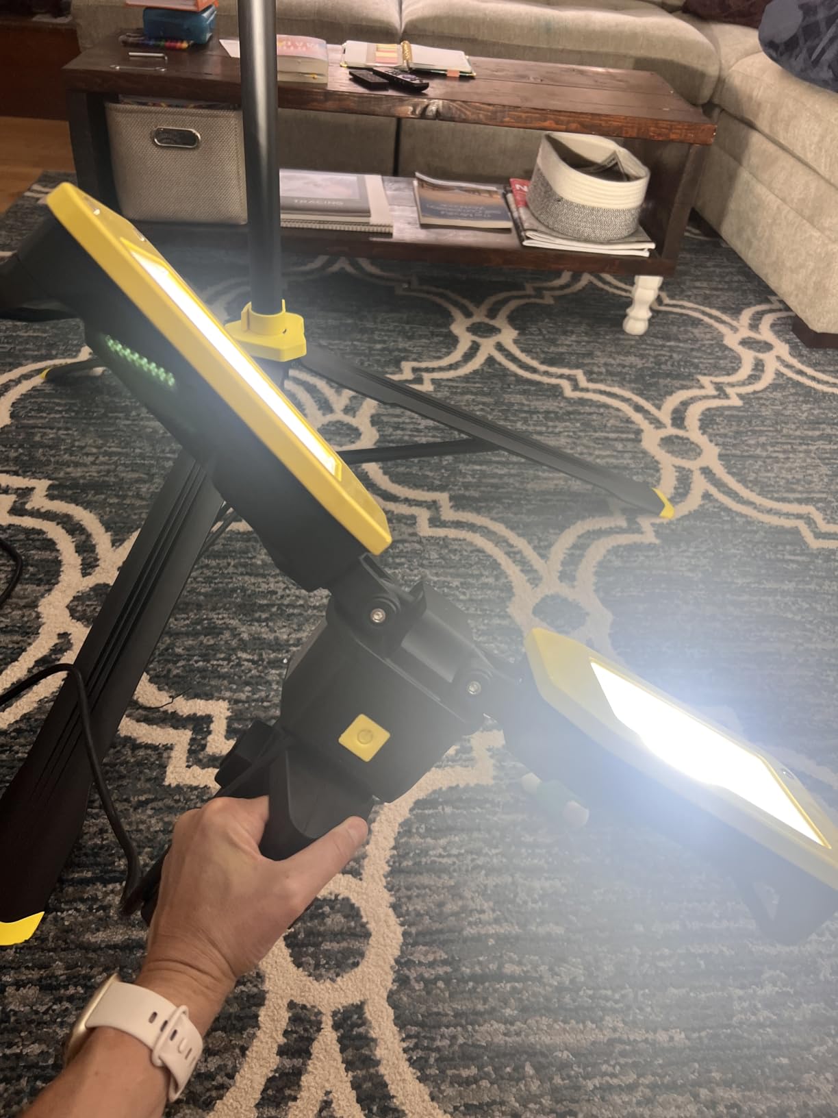 Dual-head led work lights