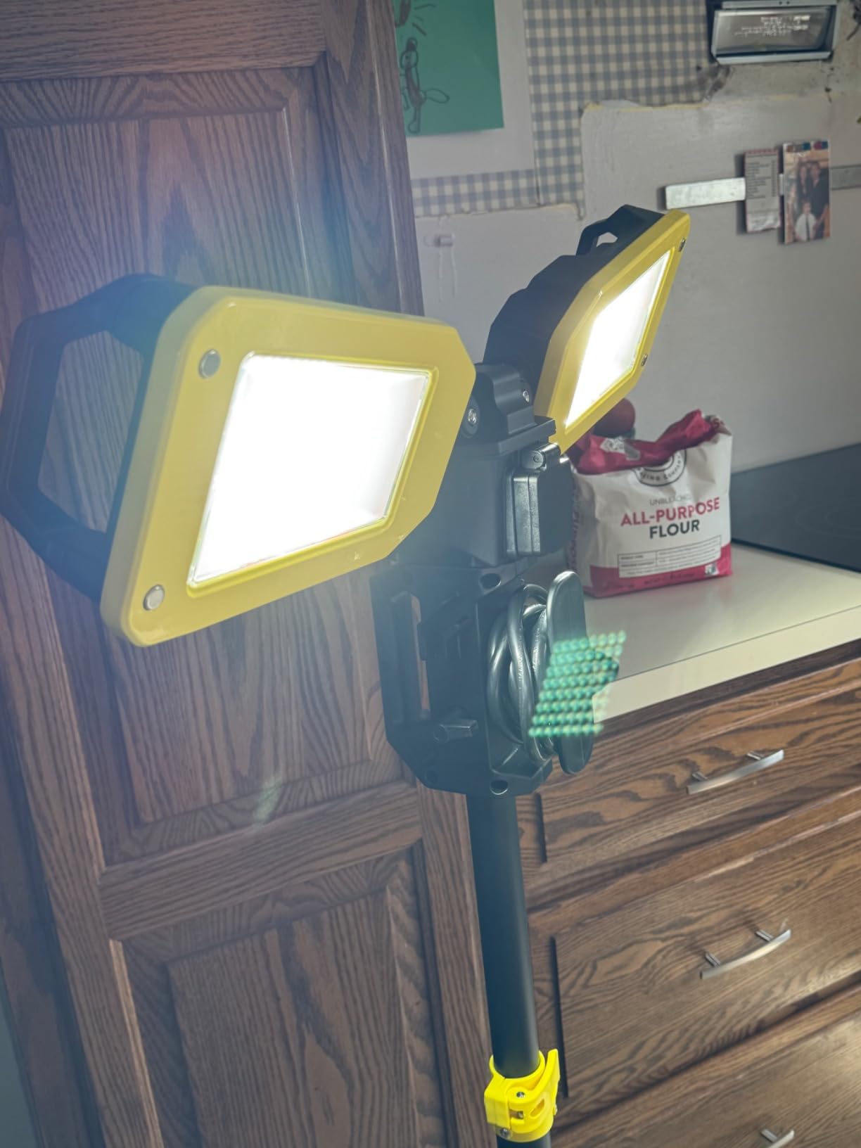 Dual-head led work lights