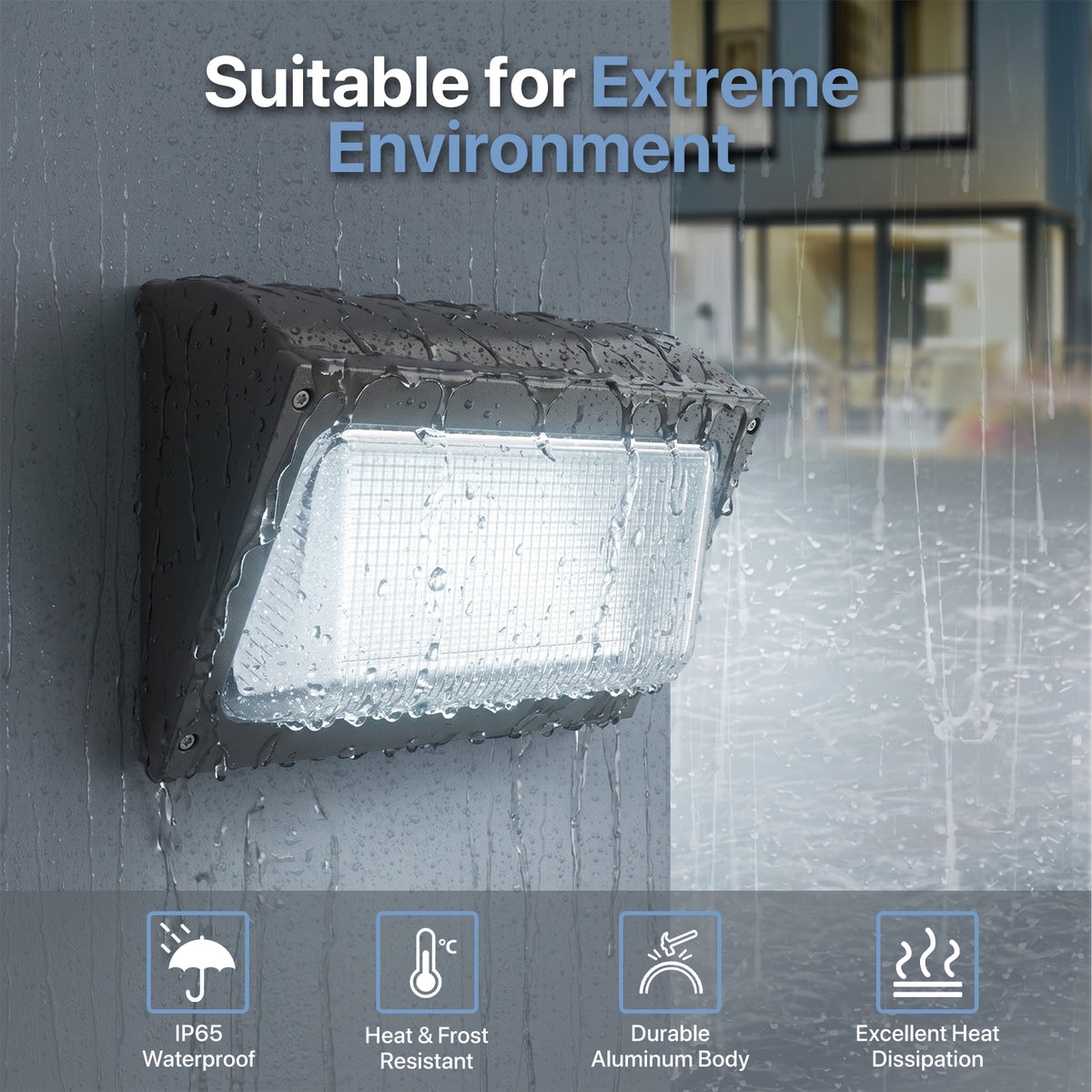 LED Wall Pack Light