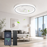 20" Smart LED Ceiling Fan – App/Remote, 6 Speeds, 3 CCT, Dimmable, Night Mode & Timer, Flush Mount