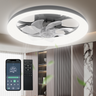 LED Ceiling Fan with Light – App/Remote, 3-Color CCT, 6 Speeds, Flush Mount, Night Mode, Timer, Polished Finish