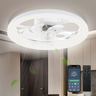 LED Ceiling Fan with Light – App/Remote, 3-Color CCT, 6 Speeds, Flush Mount, Night Mode, Timer, Polished Finish