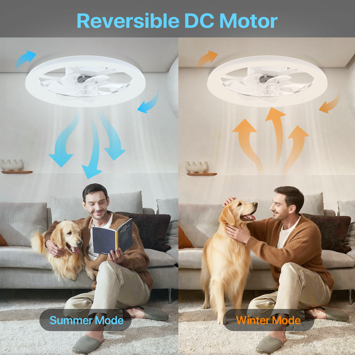 LED Ceiling Fan with Light – App/Remote, 3-Color CCT, 6 Speeds, Flush Mount, Night Mode, Timer, Polished Finish